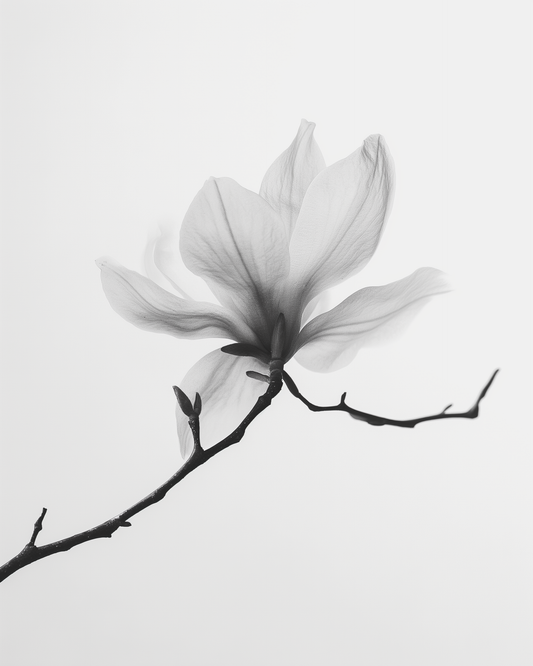 Discover the Allure of Pure Perfumes in the UK: A Fragrant Journey into Nature's Essence