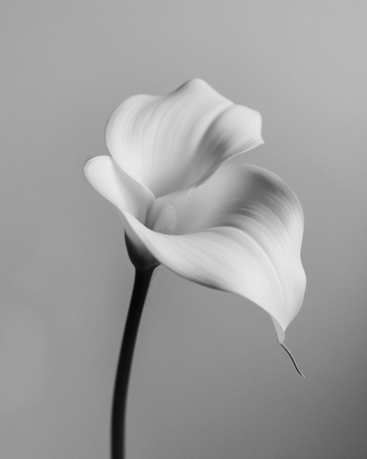The Rise of Pure and Natural Perfumes: 2025 UK Fragrance Trends You Need to Know