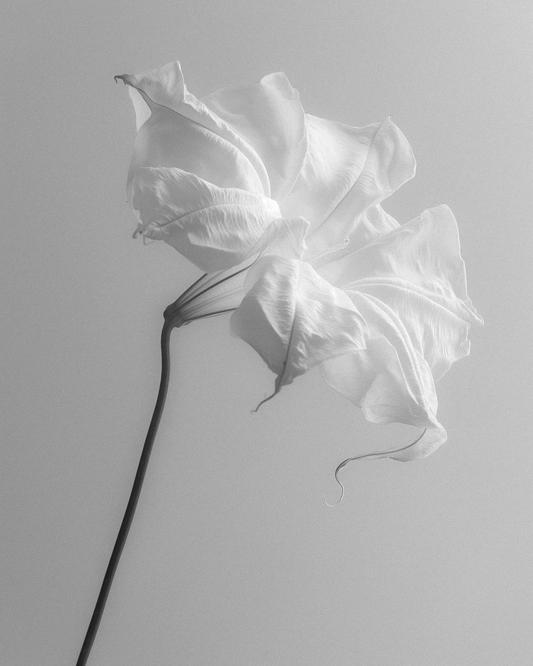 Summer Skin, Summer Scent: How Heat Changes the Way You Smell (and What to Do About It)