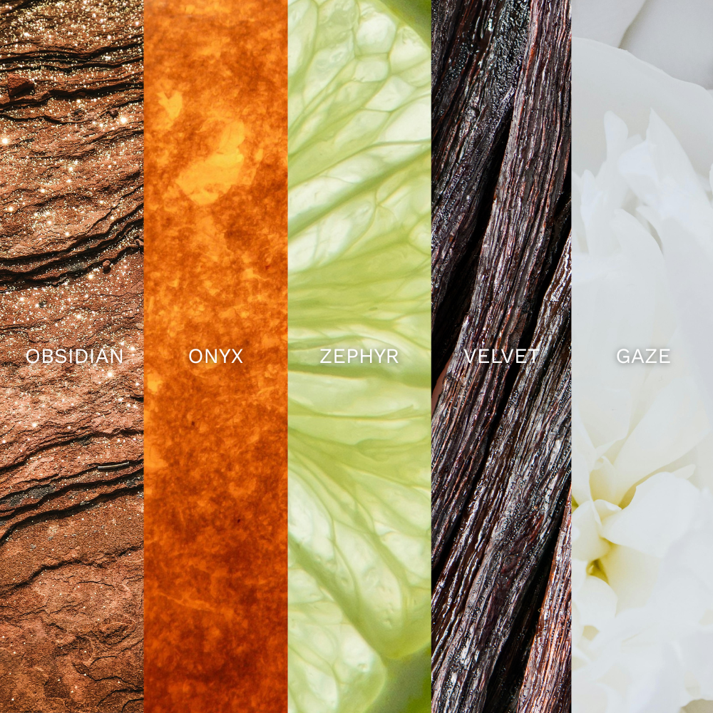 Key note for each scent in discovery set