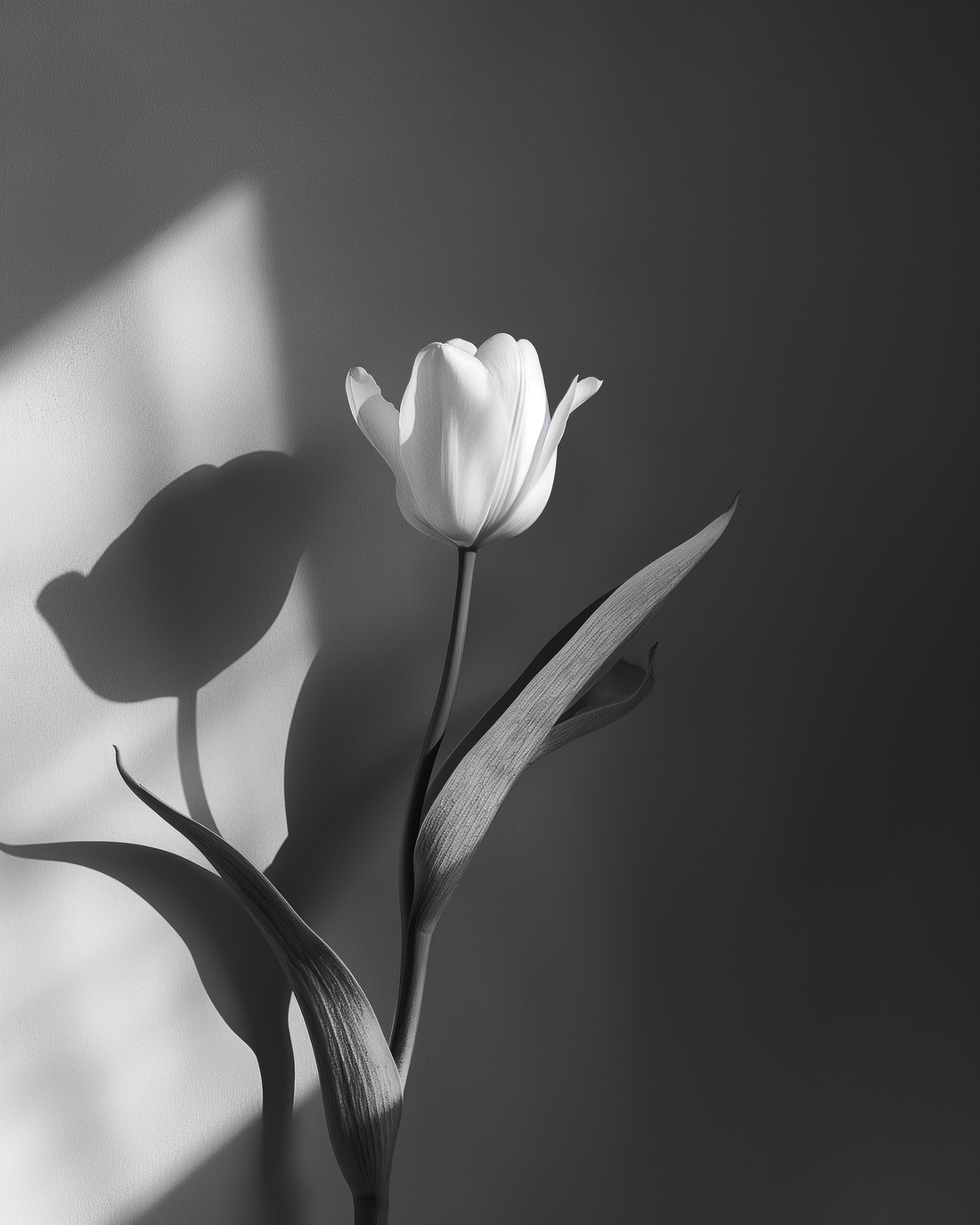 Why Pure Perfume Attars Offer Better Value Than Traditional Fragrances - A UK Fragrance Revolution