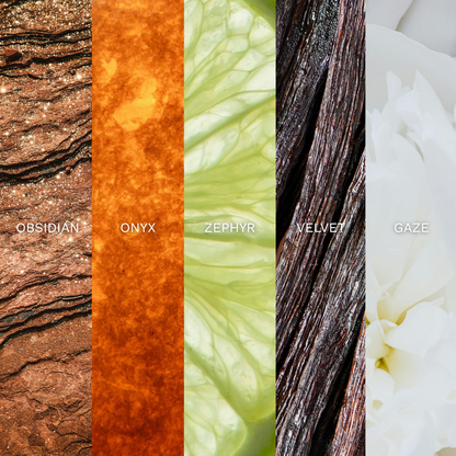 Key note for each scent in discovery set 